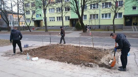 Było klepisko, jest zieleniec Było klepisko, jest zieleniec