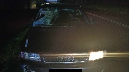 Śmiertelne potrącenie pieszego w miejscowości Janów