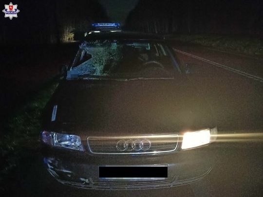 Śmiertelne potrącenie pieszego w miejscowości Janów