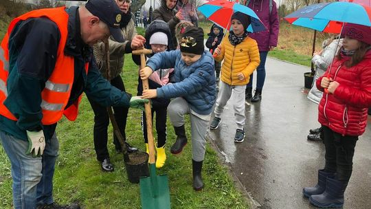 Zielone płuca dla rowerzystów - rośnie 120 nowych drzewek