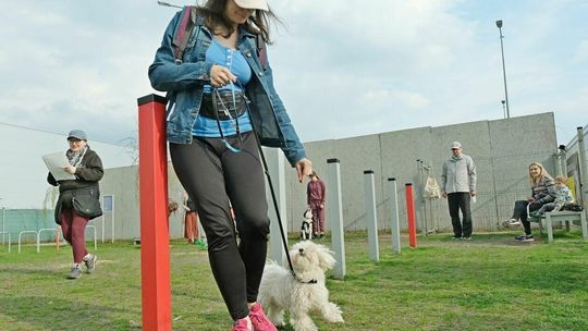 Otwarcie sezonu w Strefie Psa Skende