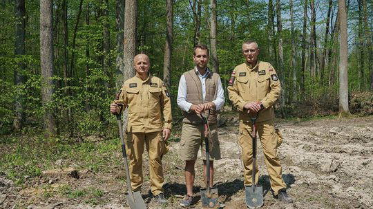 Sadzenie drzew w Starym Gaju