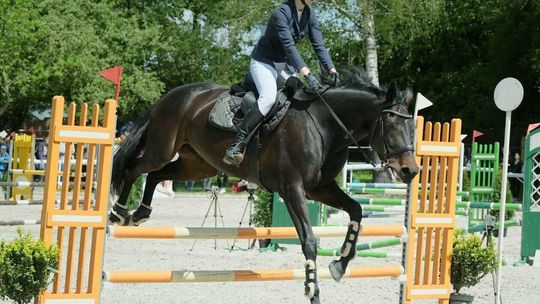 XVII Akademickie Mistrzostwa Województwa Lubelskiego w Skokach przez Przeszkody