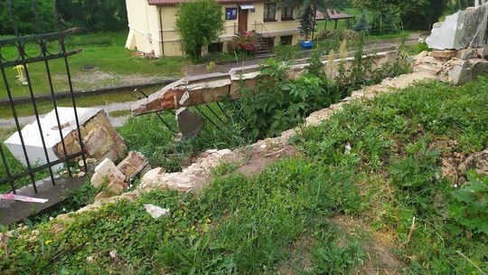 Uszkodzone drzewa w Dysie