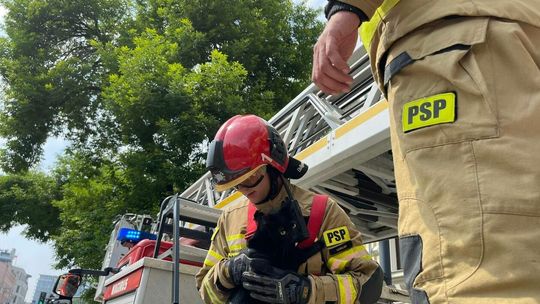 Straż pożarna ratuje kota