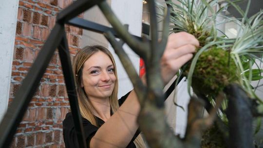 Weekend z Florystyką na placu Teatralnym oraz w budynku Centrum Spotkania Kultur w Lublinie