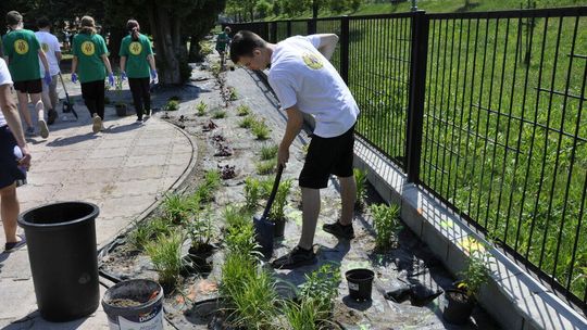 Ogród sensoryczny przy SP nr 10 w Zamościu