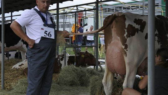 XXXIV Wystawa Zwierząt Hodowlanych, Maszyn i Urządzeń Rolniczych – Sitno 2022