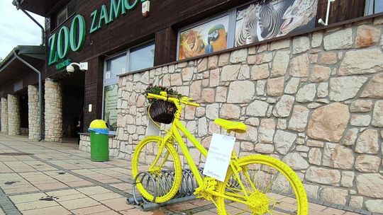 Miasto promuje komunikację na dwóch kółkach