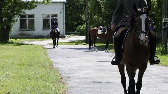 Święto konia – Sitno 2022