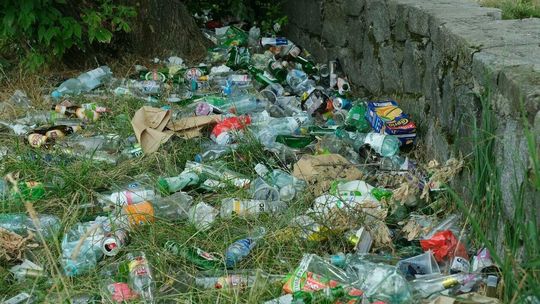 Sterty śmieci na łące przy ul. Rusałki Sterty śmieci na łące przy ul. Rusałki