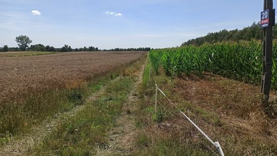 Odnalezione zwłoki w gm. Jeziorzany (pow. lubartowski)