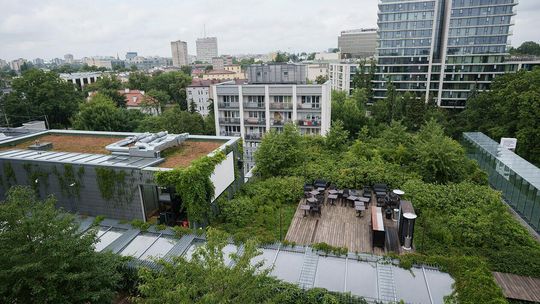 Ogród na dachu Centrum Spotkania Kultur