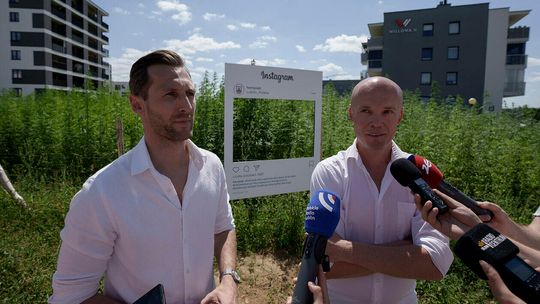 Dożynki konopne przy ul. Jantarowej w Lublinie