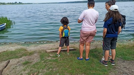 Martwe małże i ryby w Zalewie Zemborzyckim