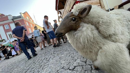 Chmielaki Krasnostawskie 2022