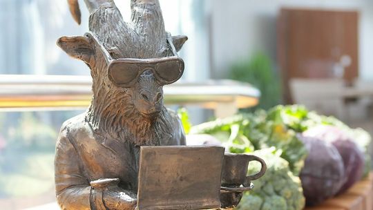 Koziołek ''LuCeK'' przysiadł na dachu LCK