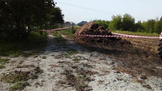 Gniazda os w oborniku Gniazda os w oborniku