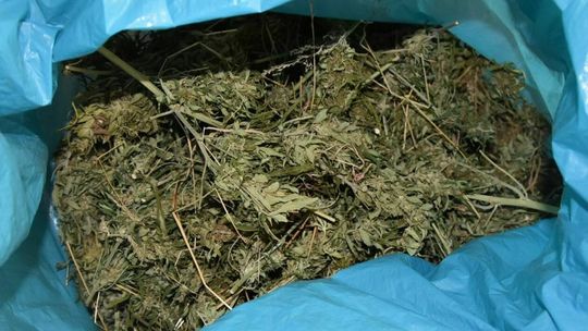 40-latek z gminy Kurów zatrzymany przez policjantów 