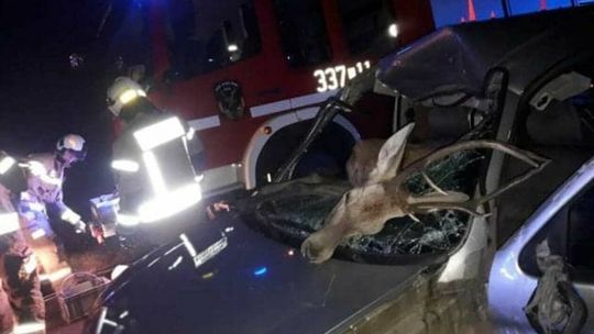 Wypadek w Nasutowie Wypadek w Nasutowie