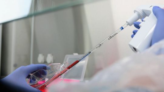 Nowe centrum badawcze w firmie Medisept