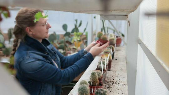 Szklarnie Ogrodu Botanicznego UMCS w Lublinie