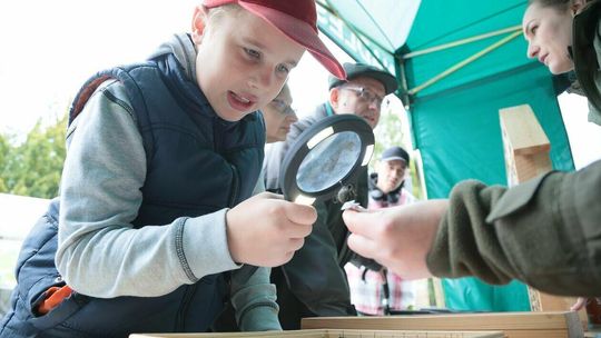 Leśnie Miasteczko powstało w sercu Lublina