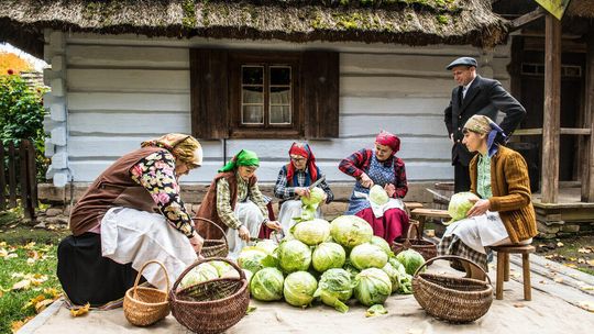 Obieraczki kapusty w Muzeum Wsi Lubelskiej