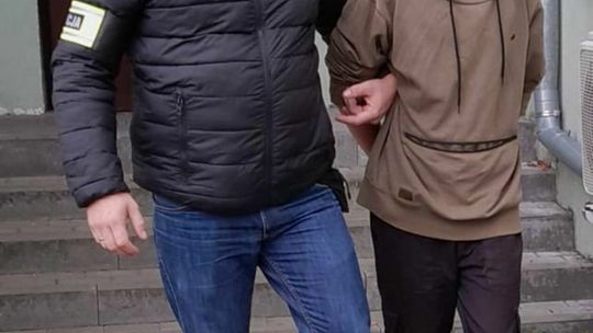 Terespol. Złodzieje drewna