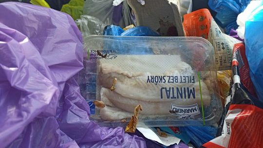 Zaglądamy do śmietników w Lublinie. Pełne jedzenia Zaglądamy do śmietników w Lublinie. Pełne jedzenia
