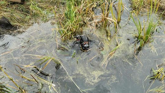Tragiczny wypadek na terenie gminy Siedliszcze Tragiczny wypadek na terenie gminy Siedliszcze
