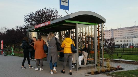 Zielony przystanek w Lublinie Zielony przystanek w Lublinie