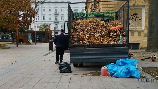 Jesienne prace na pl. Litewskim Jesienne prace na pl. Litewskim