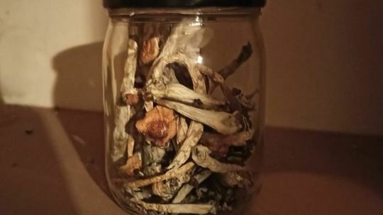 Zatrzymanie 30-latka z gminy Kurów