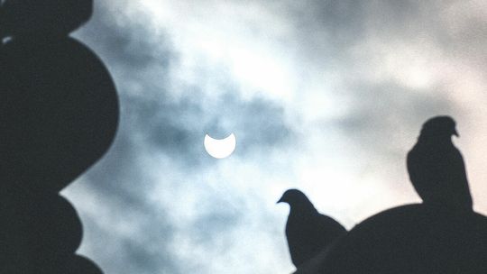 Częściowe zaćmienie Słońca na zdjęciach Czytelników Dziennika Wschodniego