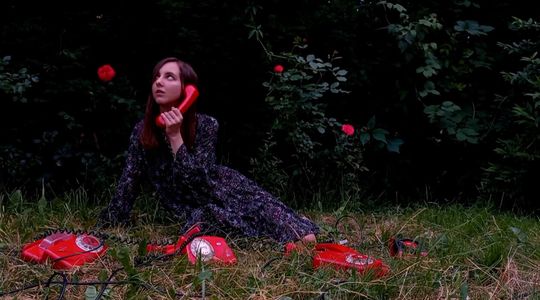 Anastasiia Kashtalian 