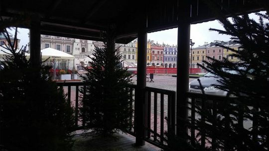 Zamość szykuje się na święta Zamość szykuje się na święta