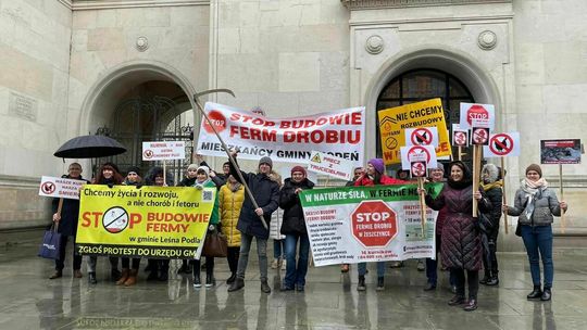 Protest przeciwko fermom drobiu 