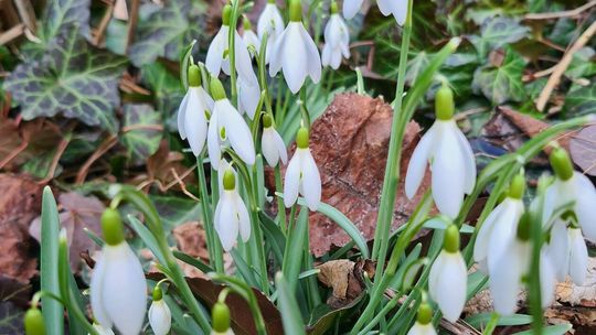 „Wiosna, ach to ty!”. Pierwsze oznaki wiosny na zdjęciach naszych Czytelników „Wiosna, ach to ty!”. Pierwsze oznaki wiosny na zdjęciach naszych Czytelników