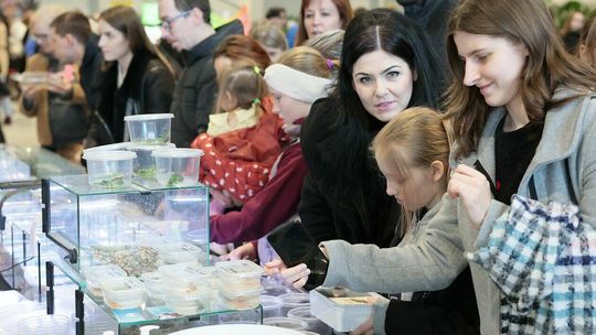 Giełda terrarystyczno-akwarystyczna Giełda terrarystyczno-akwarystyczna