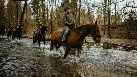 Angielscy kawalerzyści pod wrażeniem jeźdźców 2 LBOT