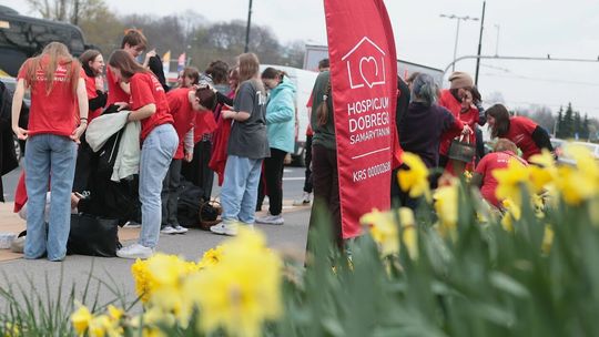 Żonkilowe pola nadziei
