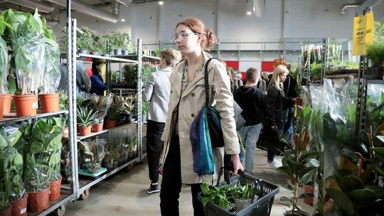 Festiwal Roślin w Lublinie