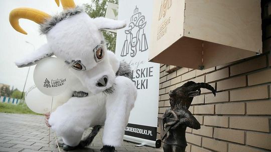 Vetek, nowy lubelski koziolek Vetek, nowy lubelski koziolek