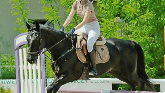 Akademickie Mistrzostwa Polski w Skokach przez Przeszkody