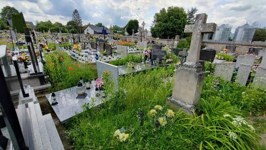 Cmentarz parafialny w Józefowie