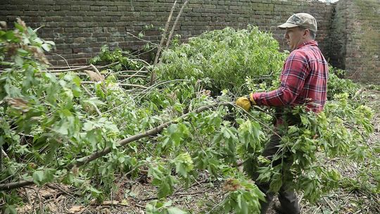 Sprzątanie kirkutu przy ul. Kalinowszczyzna
