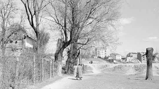 Lublin - okolice rzeki Czechówki