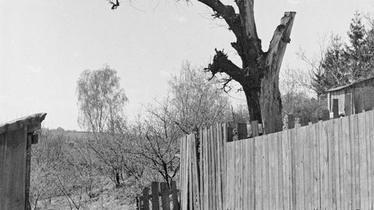 Lublin - okolice rzeki Czechówki