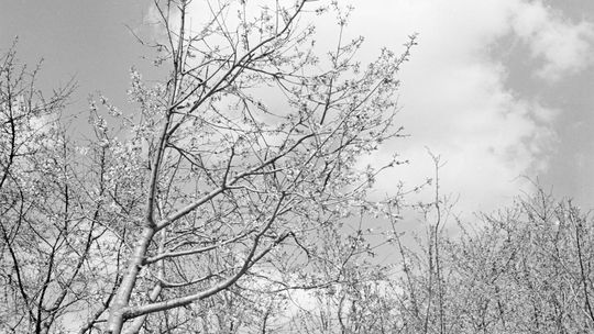 Lublin - okolice rzeki Czechówki